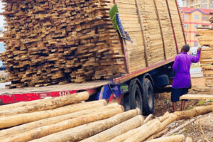 A truck supplying timber