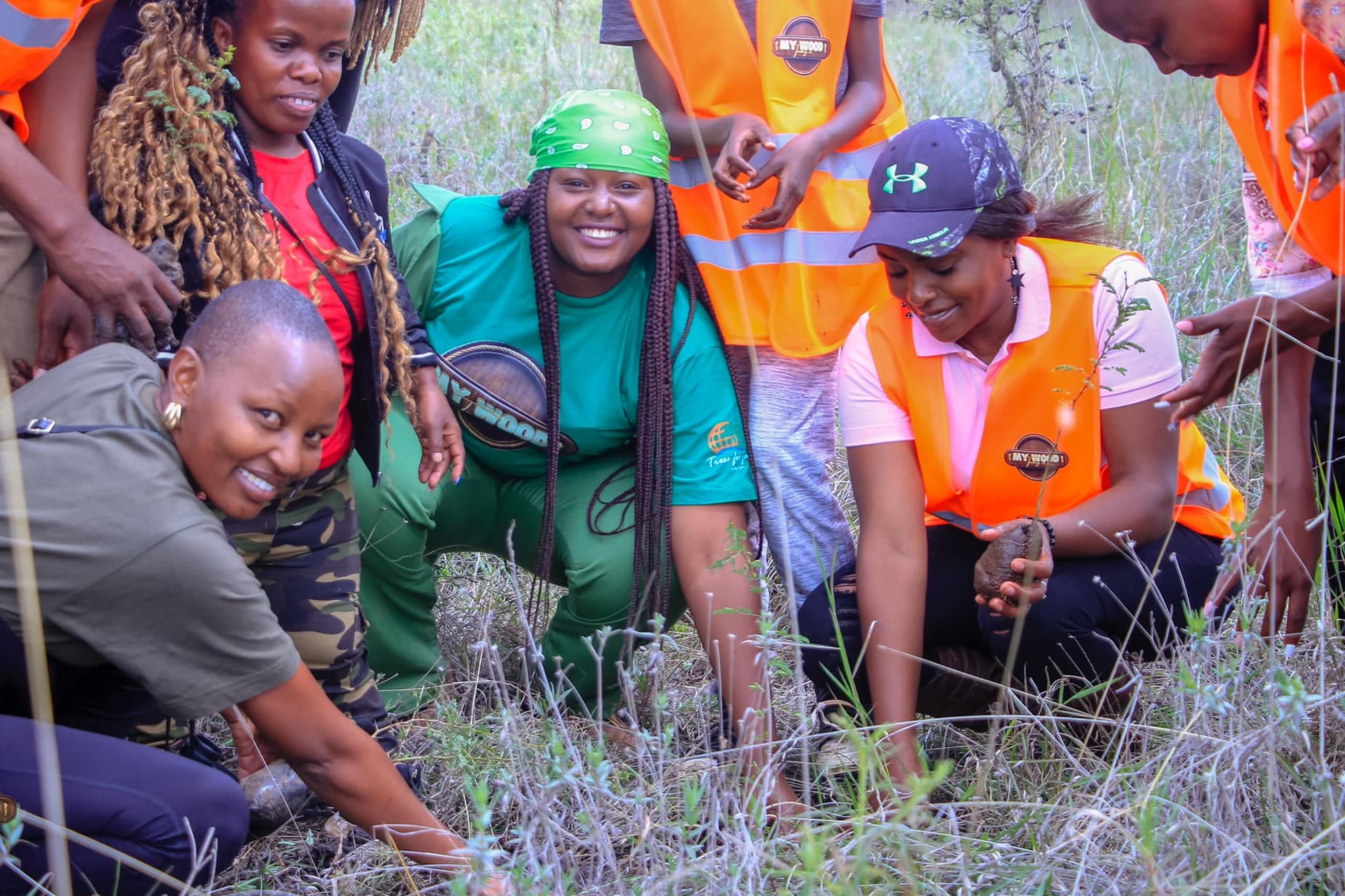 People planting trees