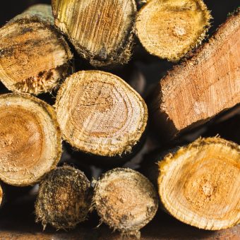 Stack-of-dry-cypress-woods